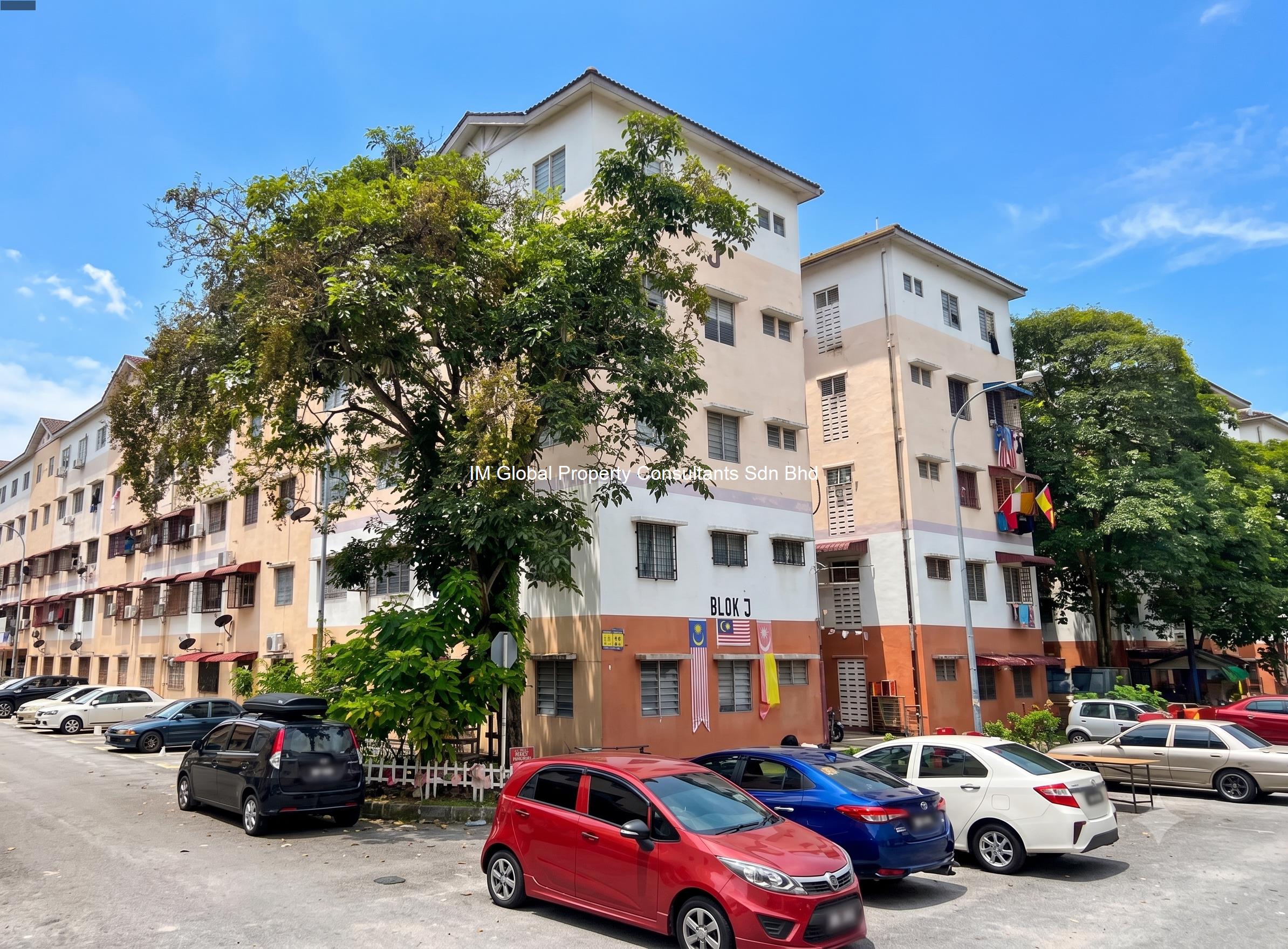 latest property